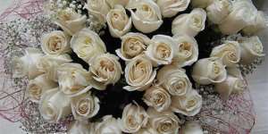 Сонник білі троянди, до чого сниться білі троянди уві сні