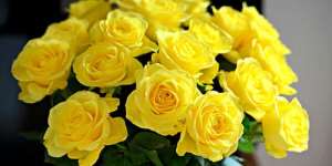 Сонник жовті квіти, до чого сниться жовті квіти уві сні